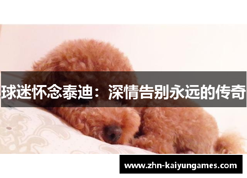 球迷怀念泰迪：深情告别永远的传奇