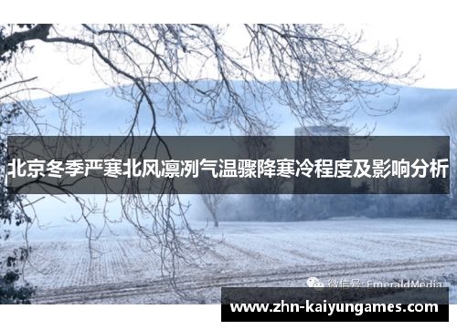 北京冬季严寒北风凛冽气温骤降寒冷程度及影响分析