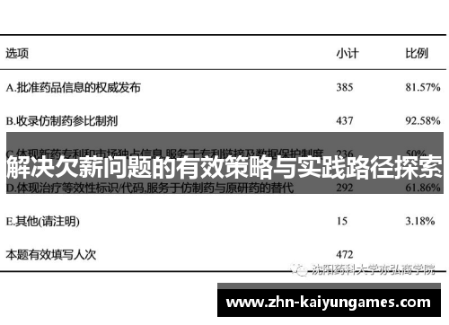 解决欠薪问题的有效策略与实践路径探索