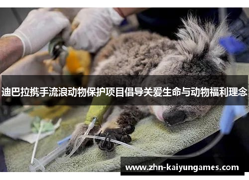 迪巴拉携手流浪动物保护项目倡导关爱生命与动物福利理念 迪巴拉携手流浪动物保护项目倡导关爱生命与动物福利理念